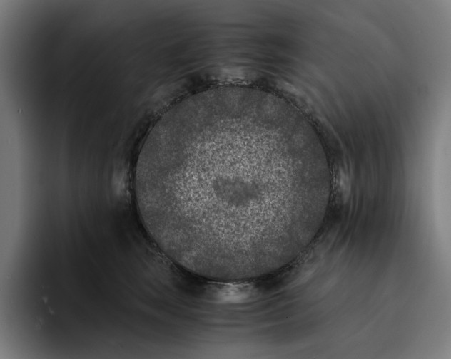 X0000094910663200712271513