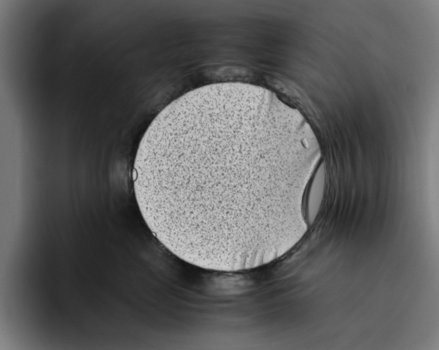 X0000094910669200712271513