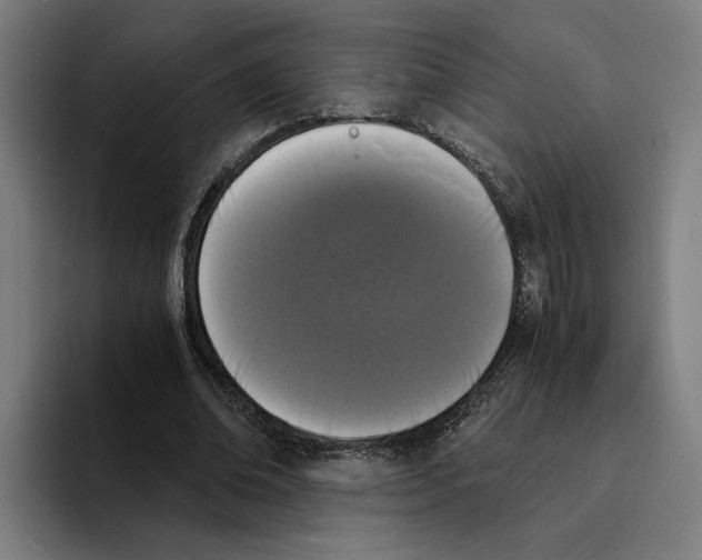 X0000094910678200712271513