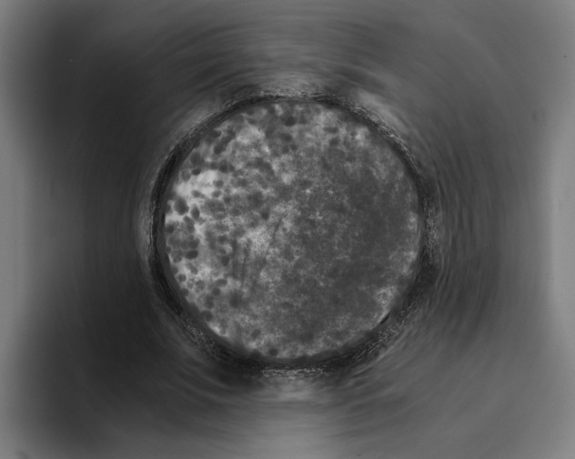 X0000094910679200712271513