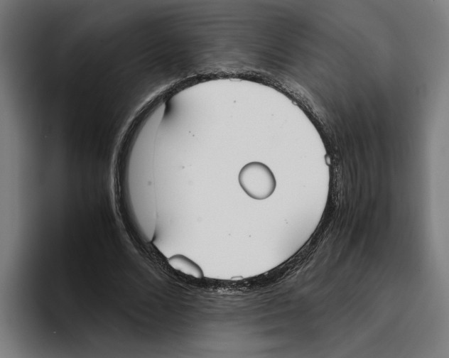 X0000094910680200712271513