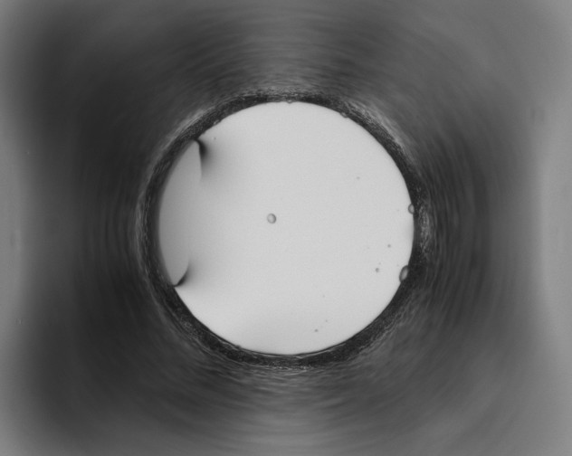 X0000094910684200712271513