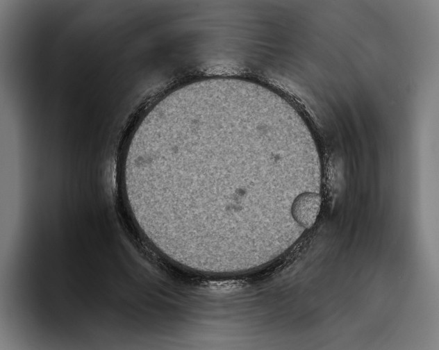 X0000094910686200712271513