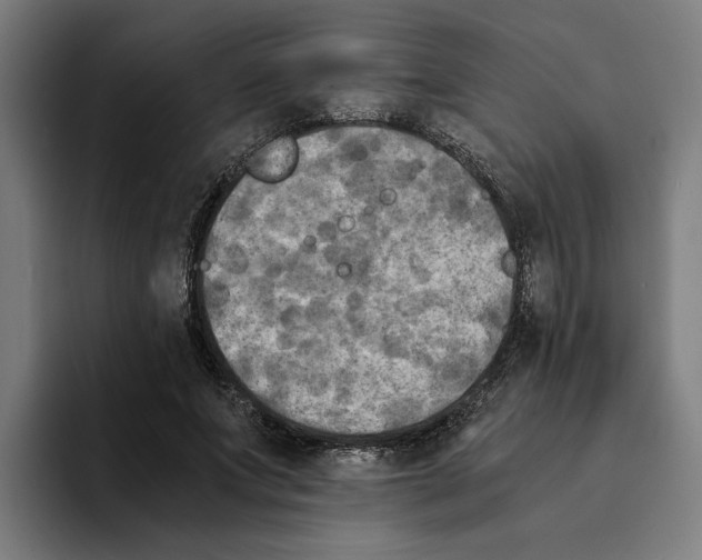 X0000094910687200712271513