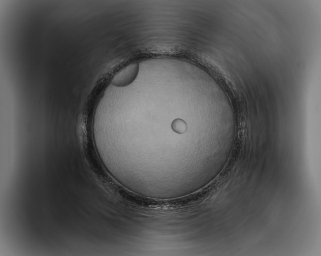 X0000094910688200712271513