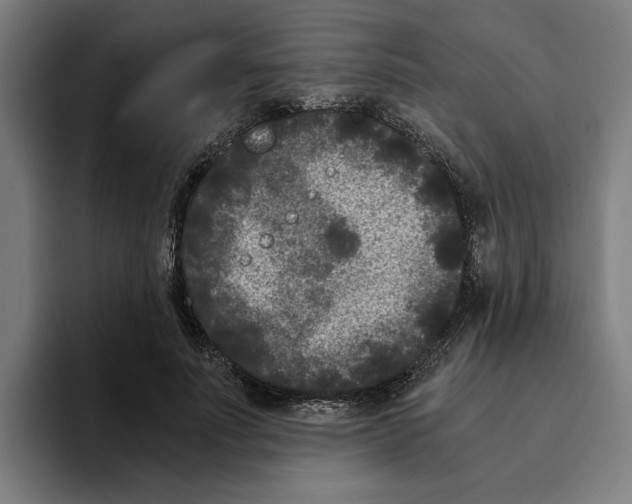 X0000094910691200712271513