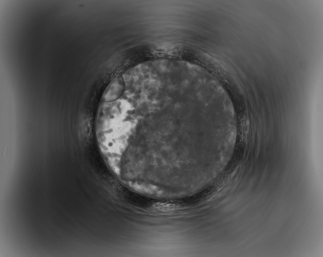 X0000094910699200712271512