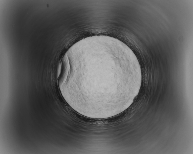 X0000094910700200712271512