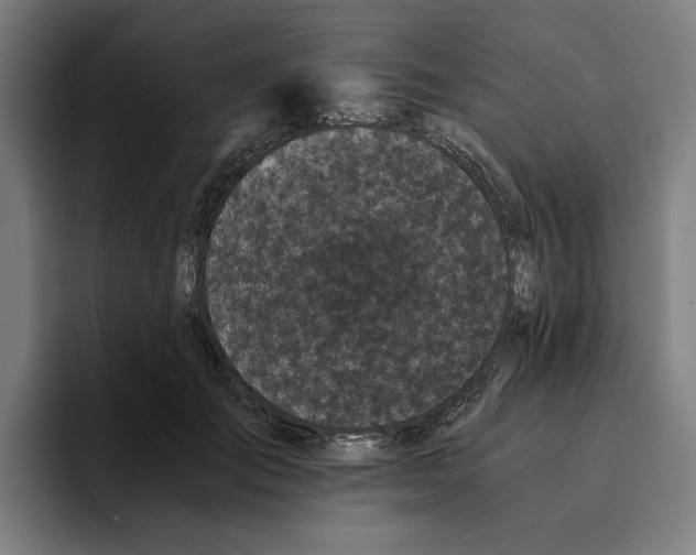 X0000094910701200712271512