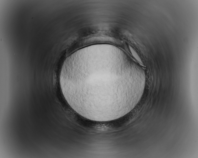 X0000094910704200712271512