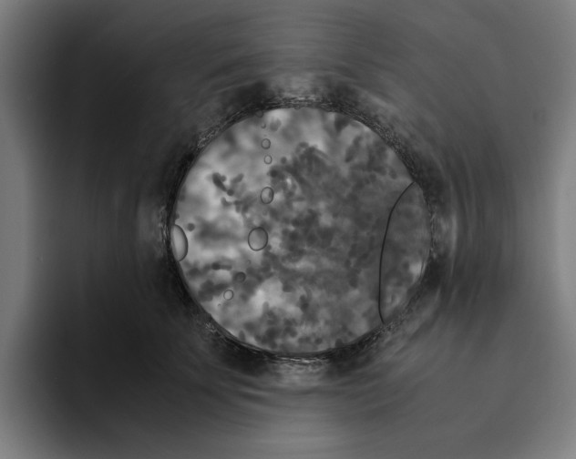 X0000094910707200712271512