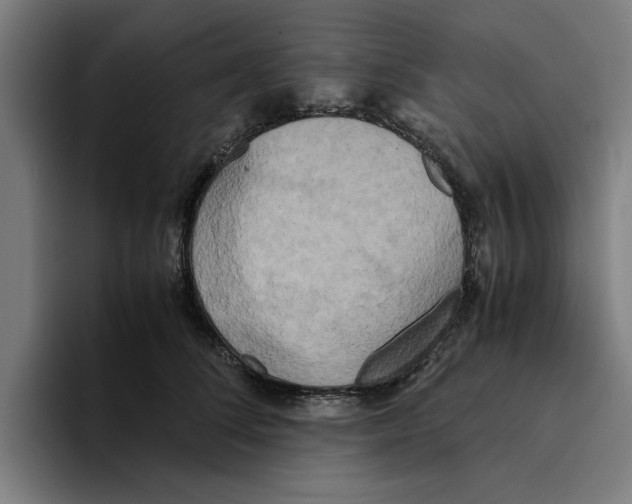 X0000094910708200712271512