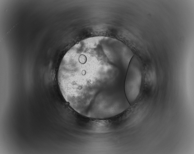 X0000094910711200712271512