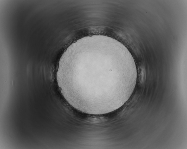 X0000094910712200712271512