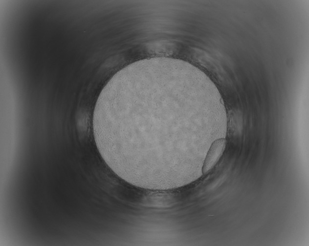 X0000094910713200712271512