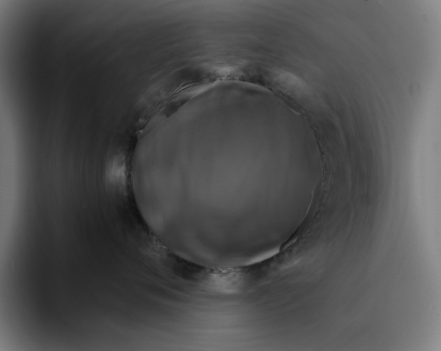 X0000094910720200712271512