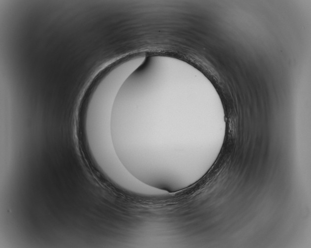 X0000094910724200712271512