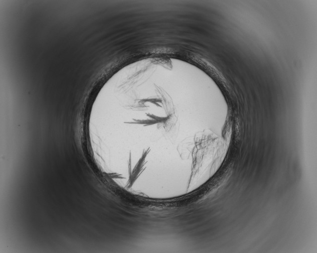 X0000094910725200712271512