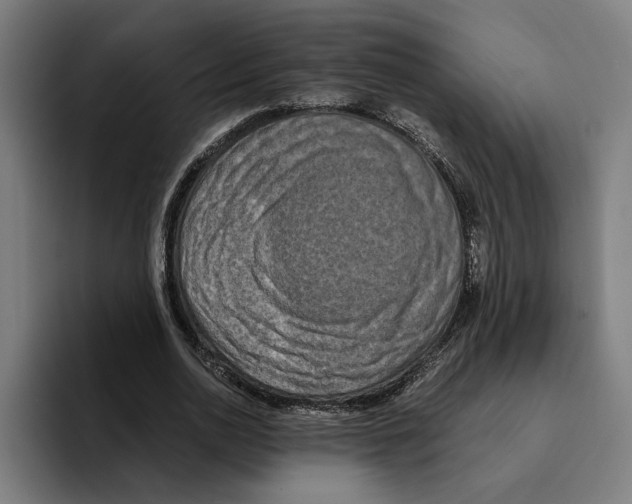 X0000094910726200712271512