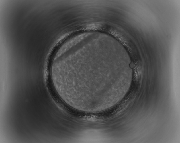 X0000094910728200712271512