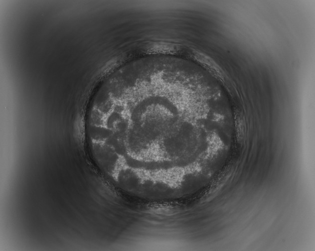 X0000094910729200712271512