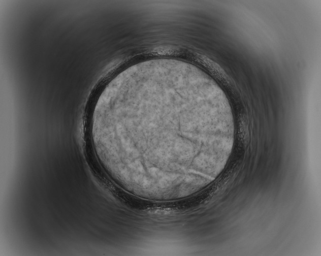 X0000094910730200712271512