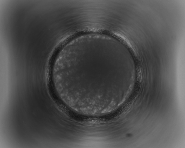 X0000094910736200712271512