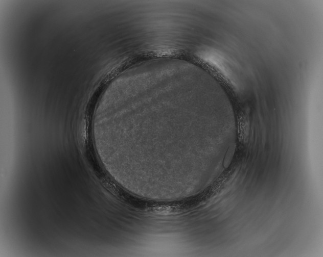 X0000094910740200712271512