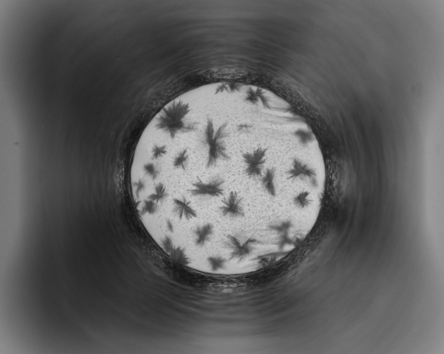 X0000094910745200712271512