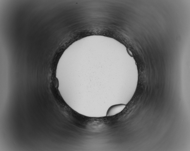 X0000094910750200712271512