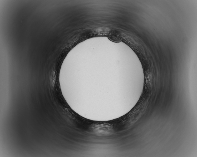 X0000094910752200712271512