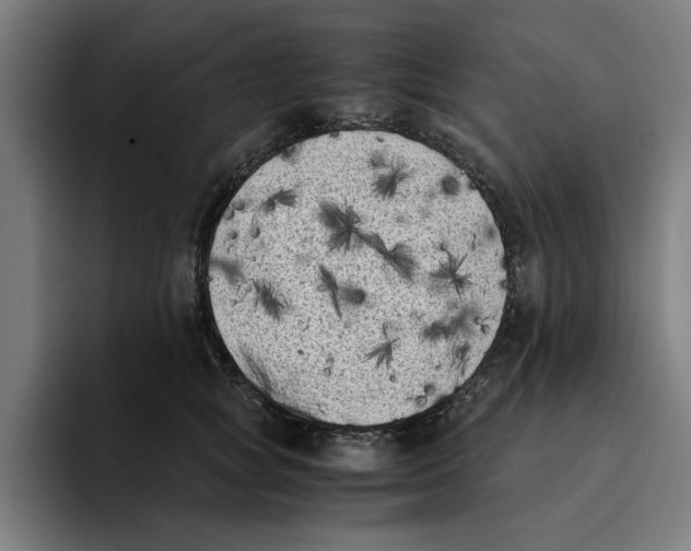 X0000094910757200712271512