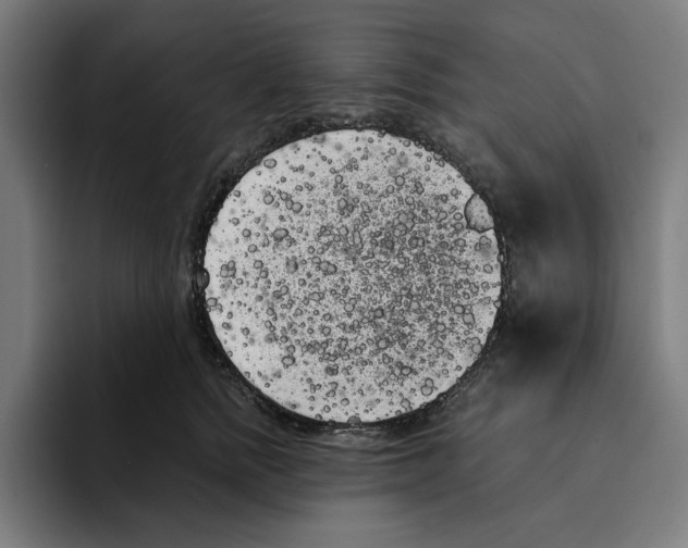 X0000094910758200712271512