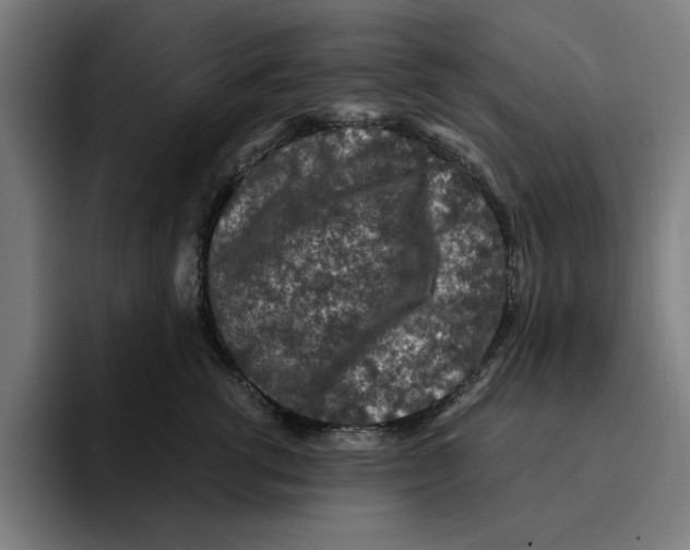 X0000094910762200712271512