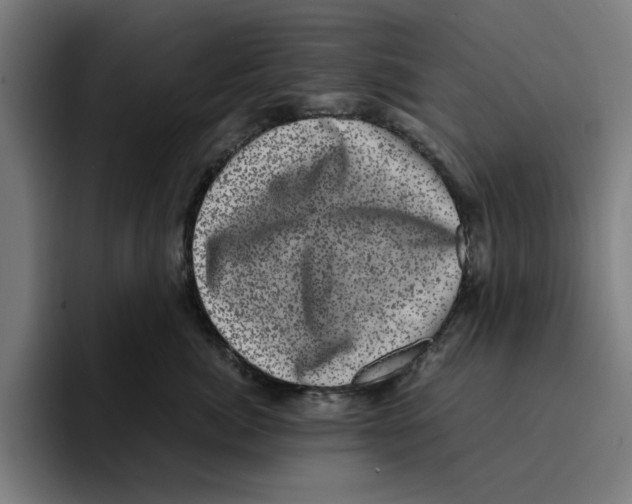 X0000094910764200712271512