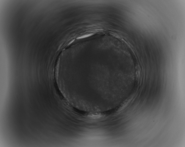 X0000094910767200712271512