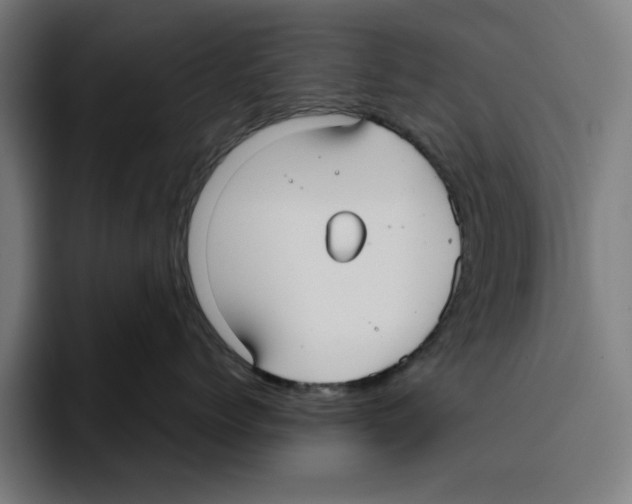 X0000094910768200712271512