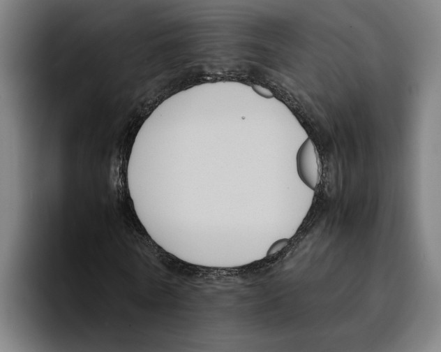 X0000094910770200712271512