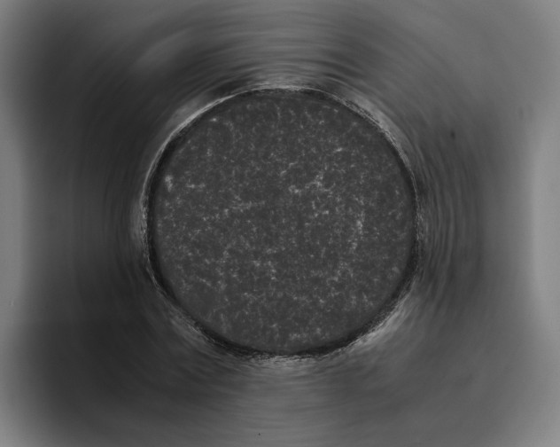 X0000094910779200712271511