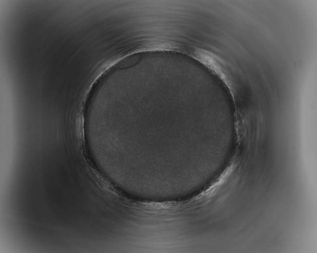 X0000094910781200712271511