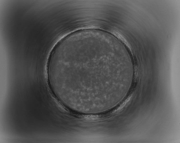 X0000094910789200712271511