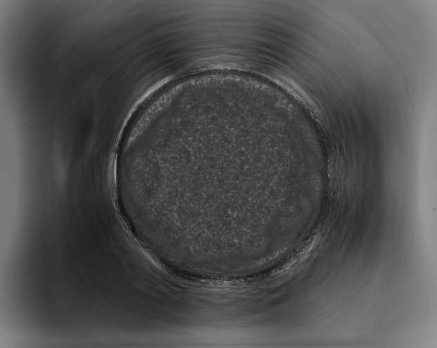 X0000094910790200712271511