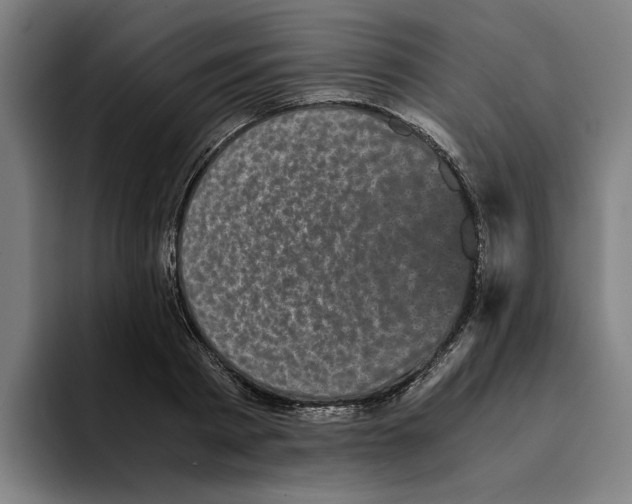 X0000094910793200712271511