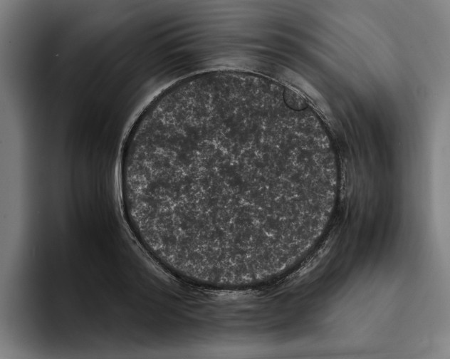 X0000094910796200712271511