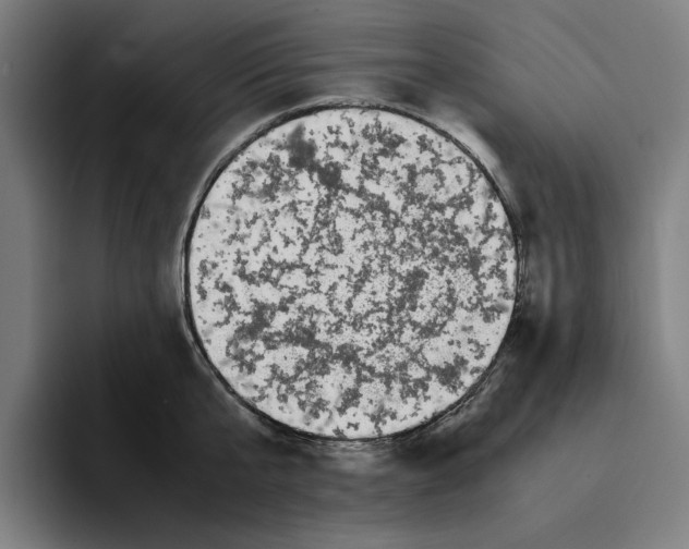 X0000094910807200712271511