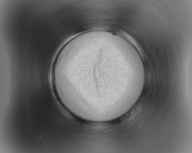 X0000094910811200712271511