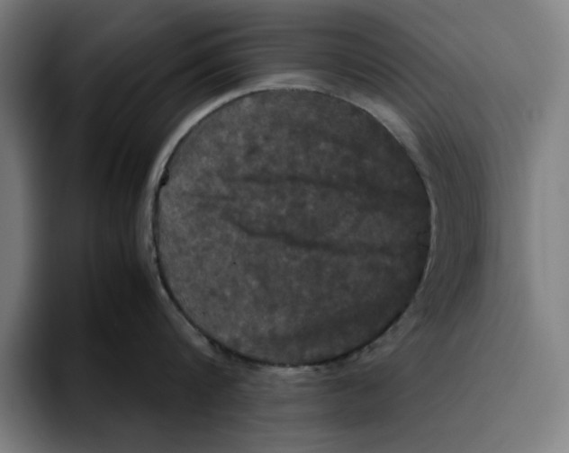 X0000094910816200712271511