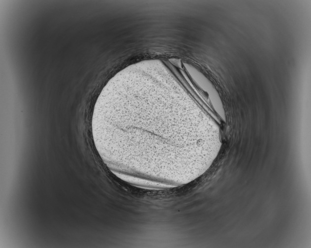 X0000094910817200712271510