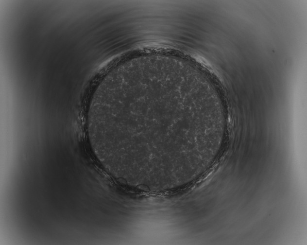 X0000094910822200712271510