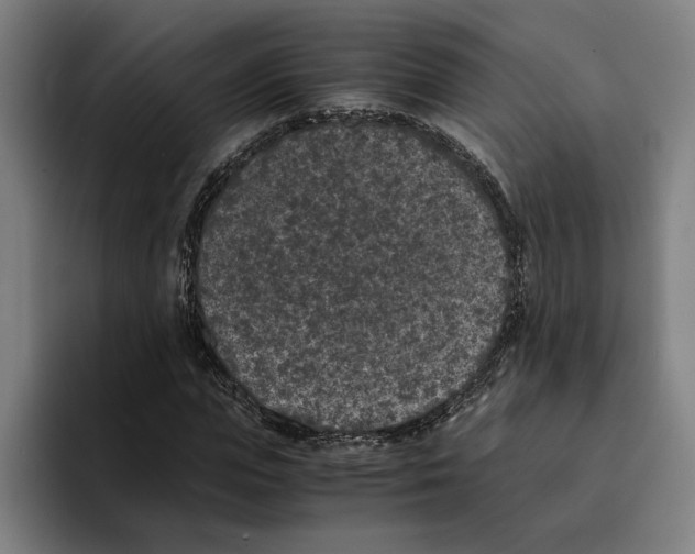 X0000094910823200712271510